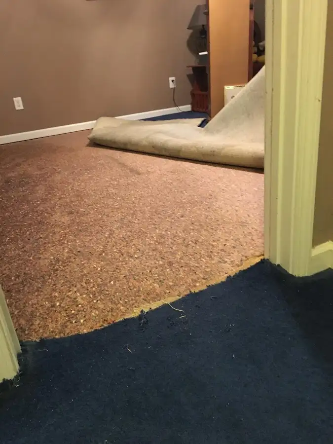 Carpet pad removal revealing water damage during Water Mitigation Services in Franklin
